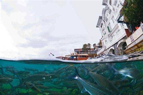 B­a­l­ı­k­l­a­r­ı­n­ ­G­ö­z­ü­n­d­e­n­ ­İ­s­t­a­n­b­u­l­